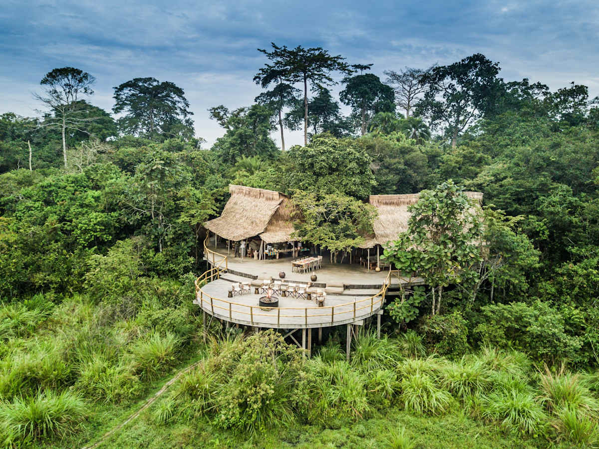 Congo: Africa's Rainforest Frontier photo 3
