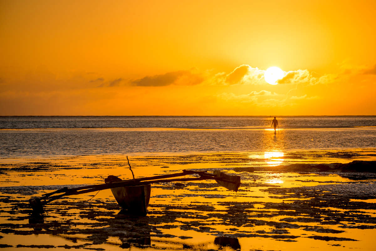 Big Five Safari & Zanzibar Escape photo 5