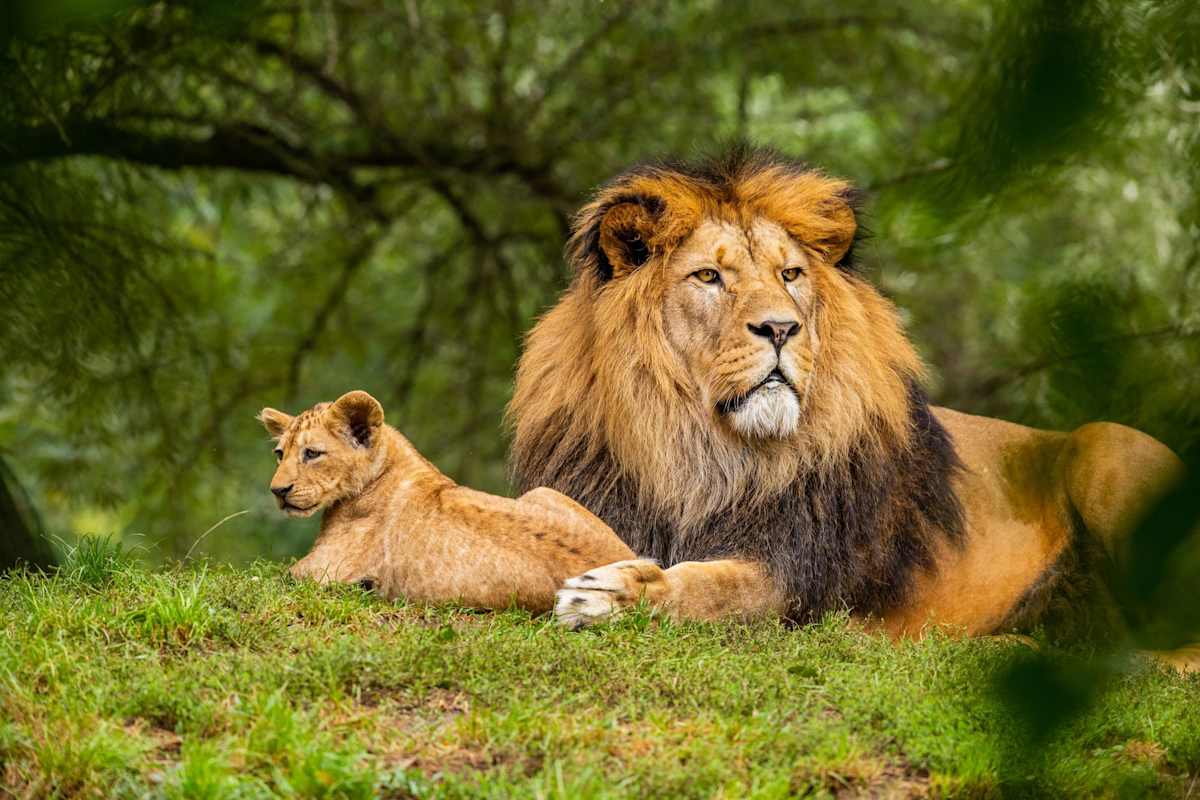 Best of Rwanda in Style photo 4