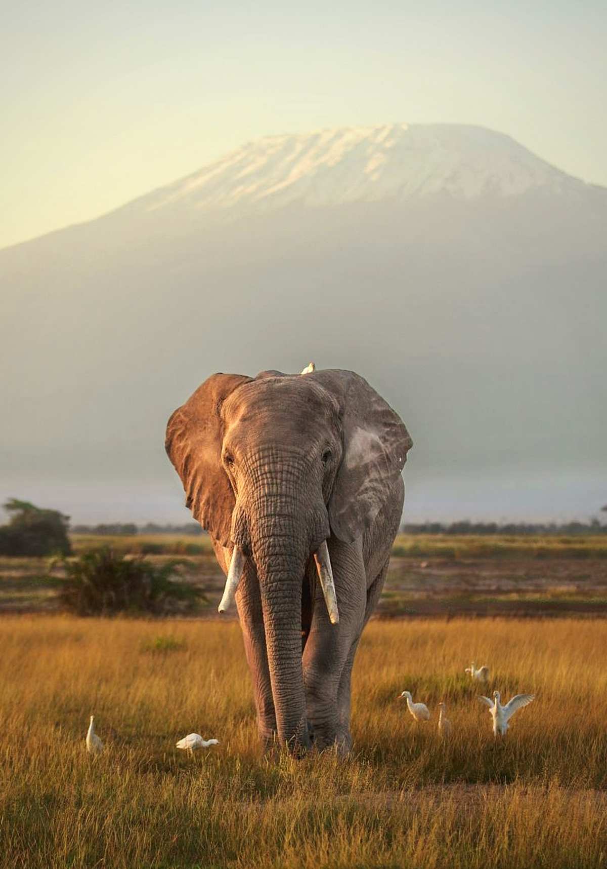 Exclusive Kenya by Private Air  photo 3