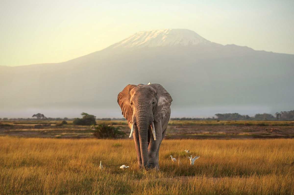 Exclusive Kenya by Private Air  photo 6