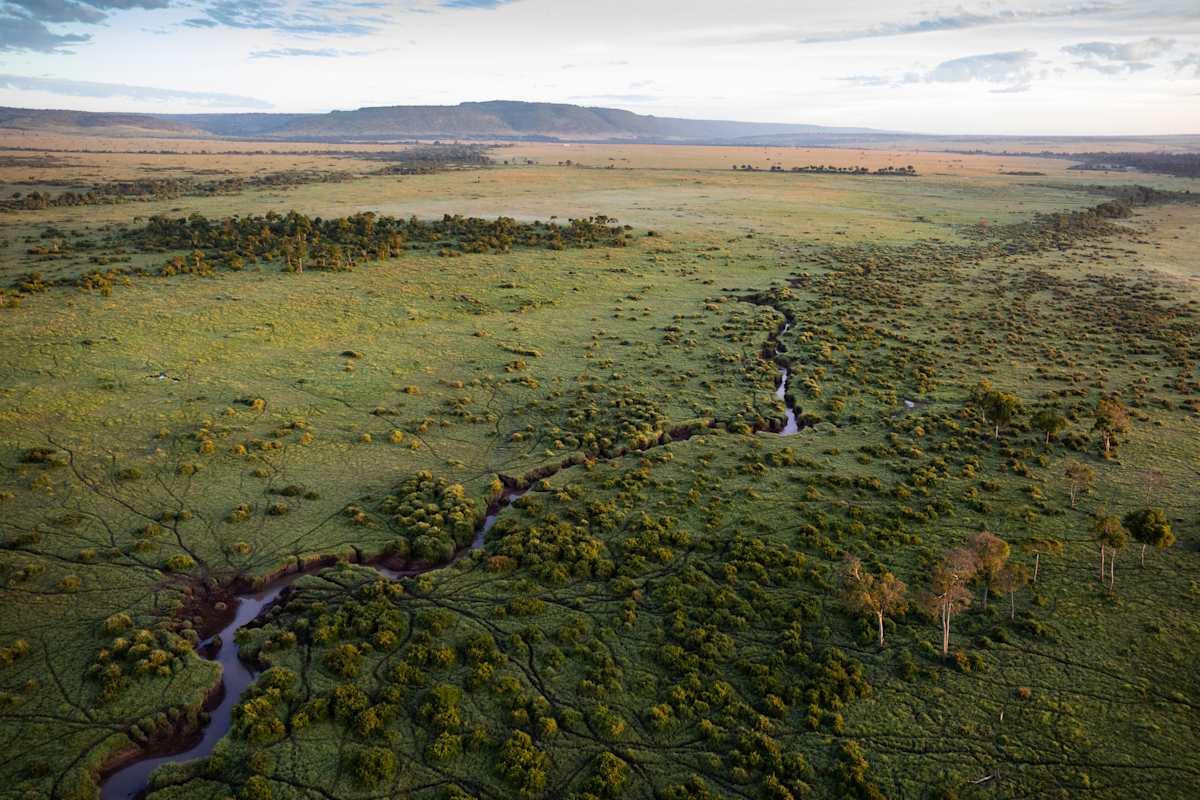 Exclusive Kenya by Private Air  photo 5