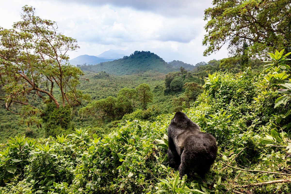 Best of Rwanda in Style photo 1