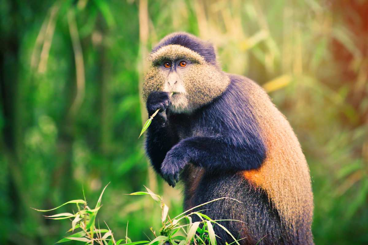 Best of Rwanda in Style photo 5