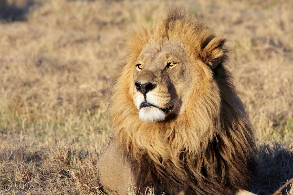 Off-the-Beaten-Path Tanzania & Mafia Island photo 1