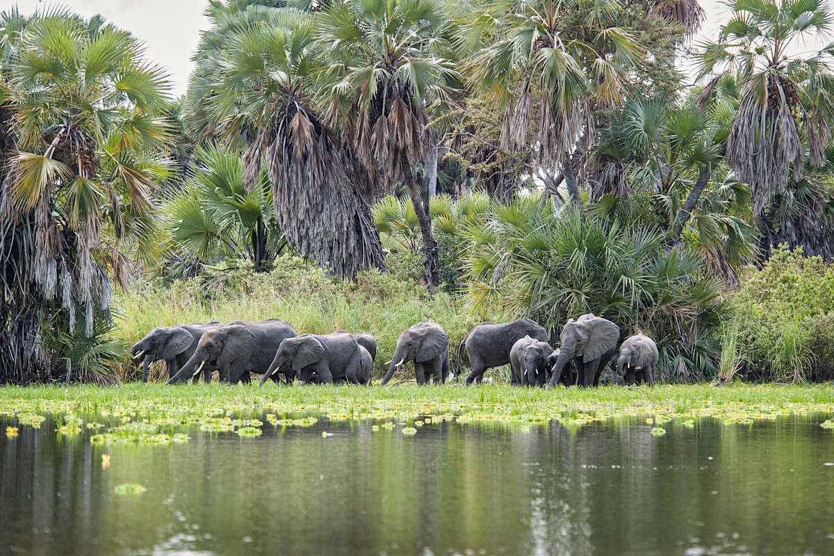 Southern Tanzania Safari & Zanzibar Escape photo 5
