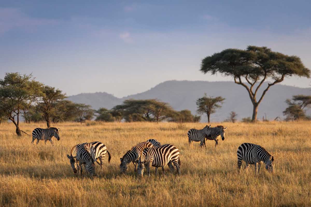 Uncharted Tanzania: North to South Safari photo 1