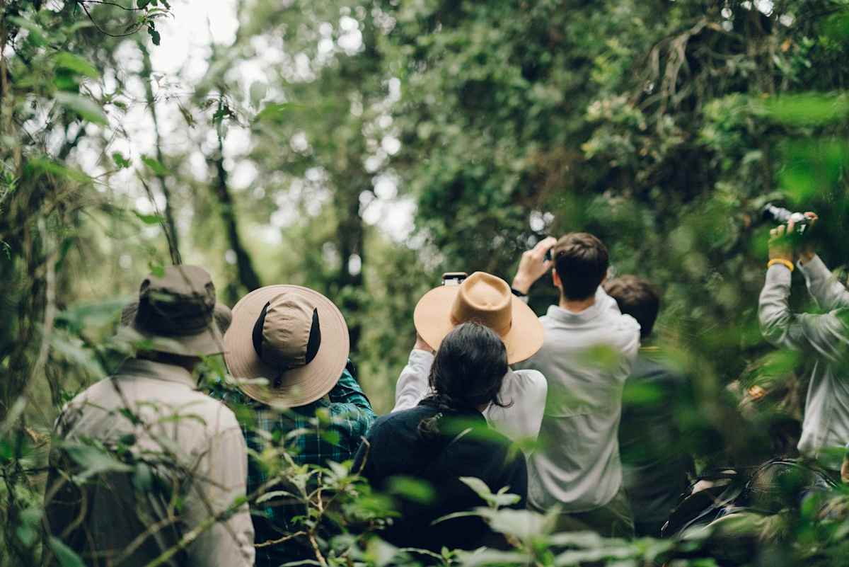 Uganda and Rwanda Gorilla Trekking photo 6