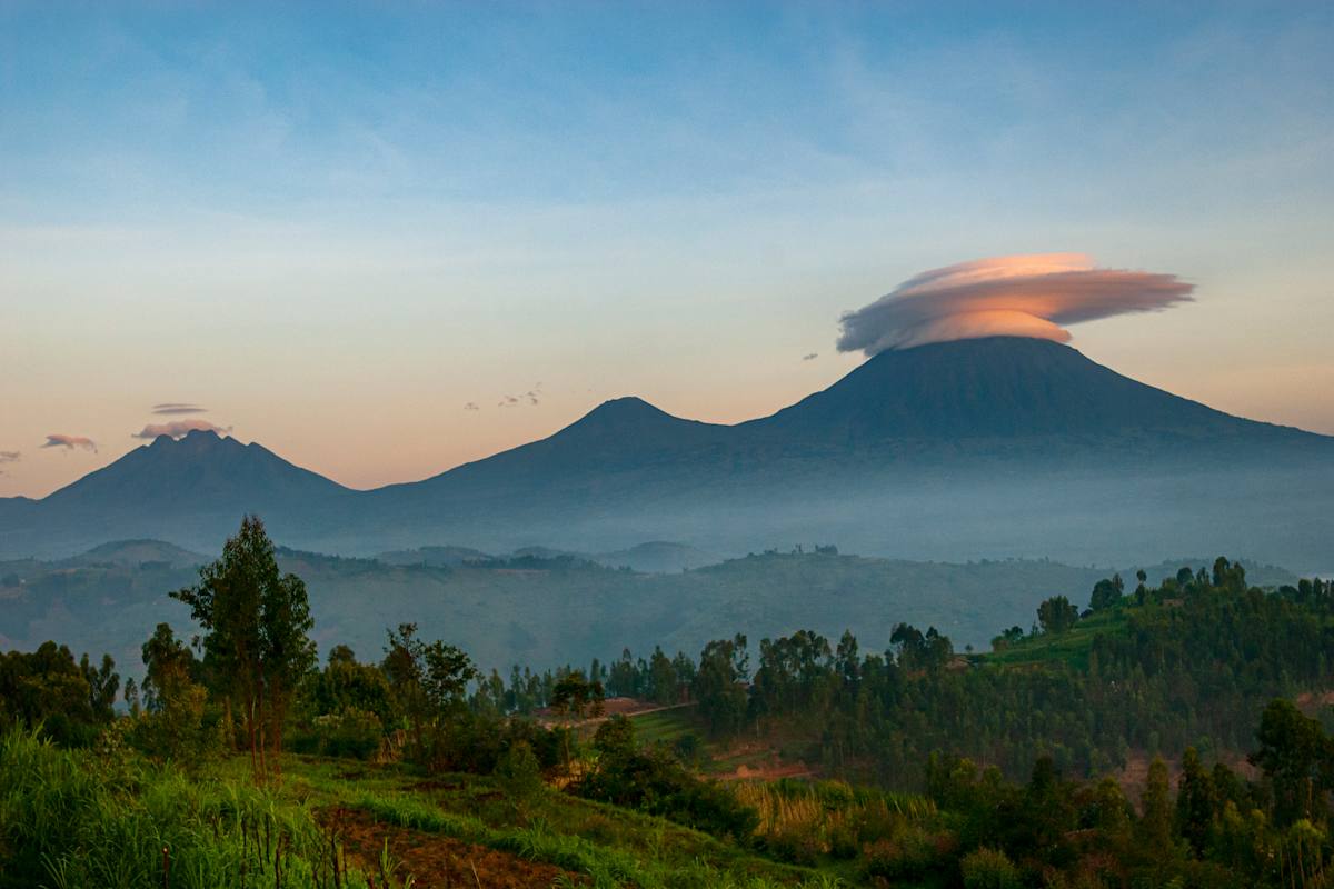 Uganda and Rwanda Gorilla Trekking photo 3