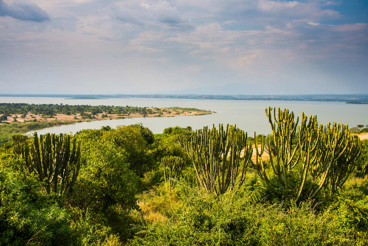 Uganda Highlights  photo 3