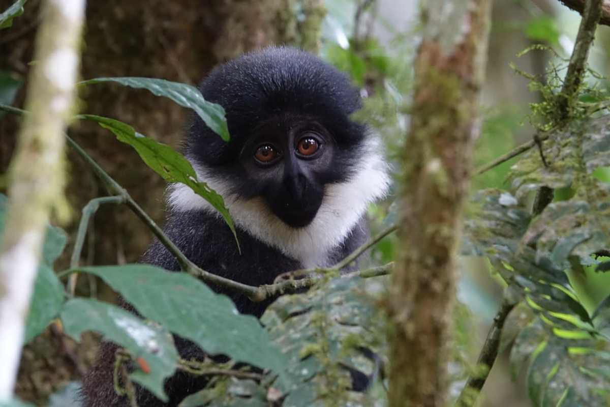 Uganda Highlights  photo 7