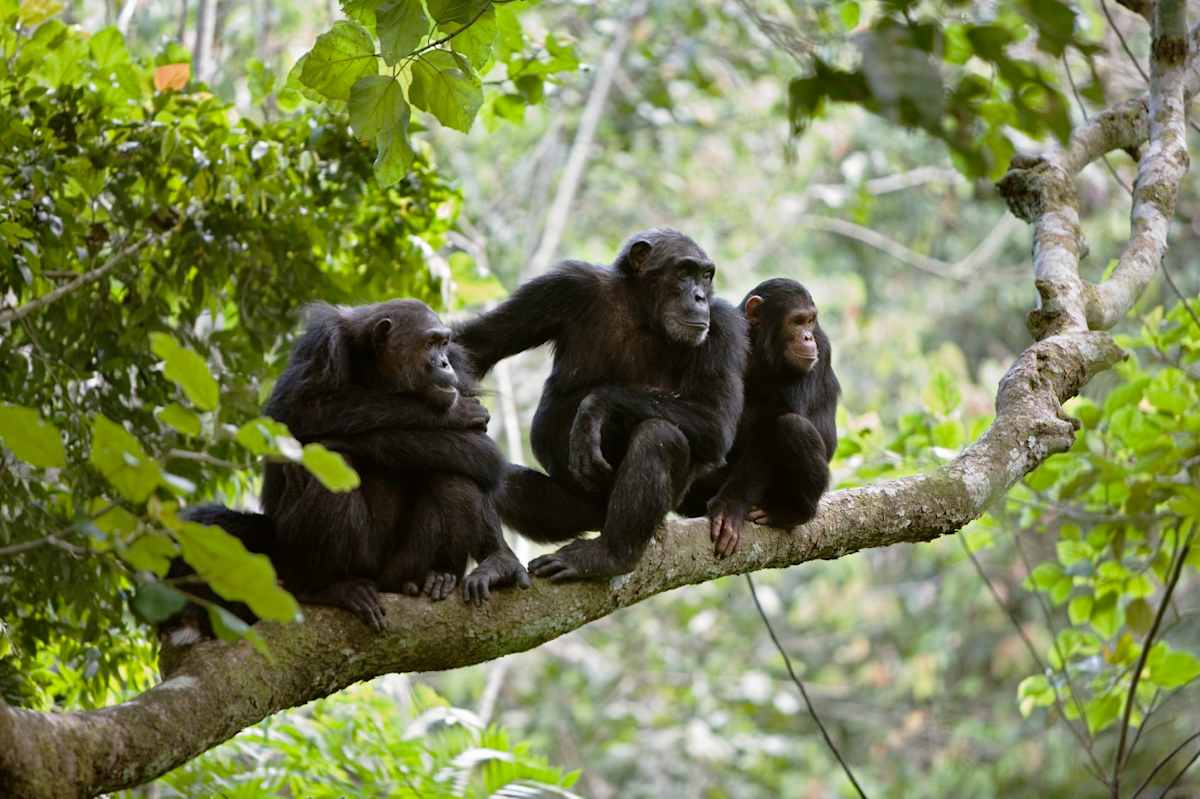 Best of Rwanda in Style photo 3