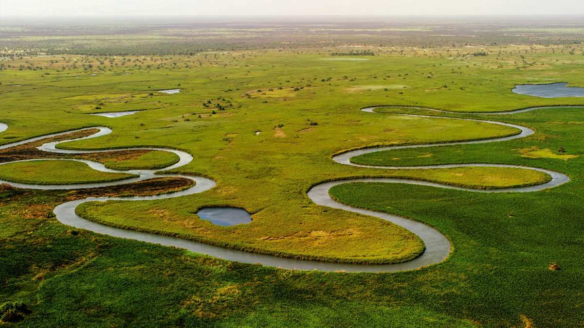 Botswana Unveiled: Chobe & the Okavango photo 3