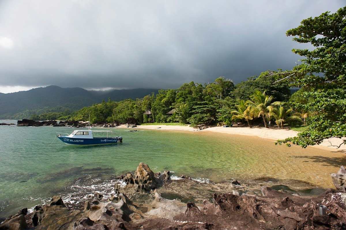 Rainforests of Madagascar Masoala & Andasibe National Park photo 1
