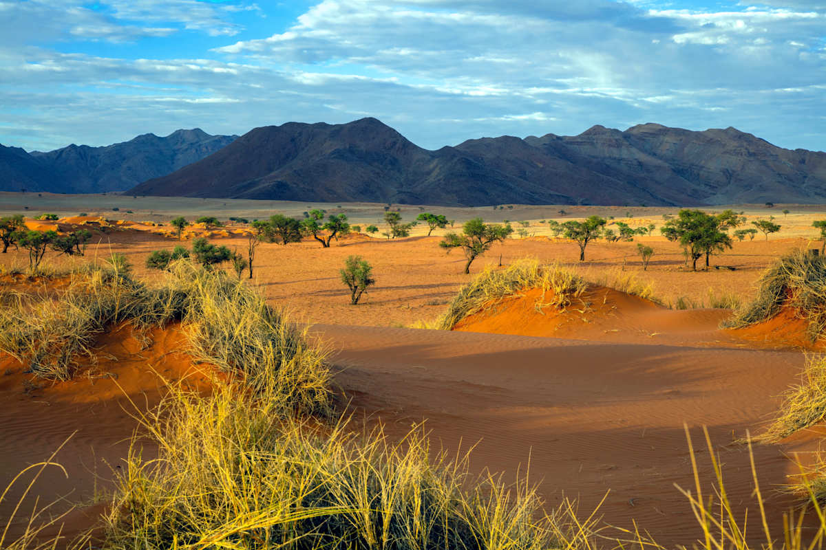 Namibia Highlights photo 4