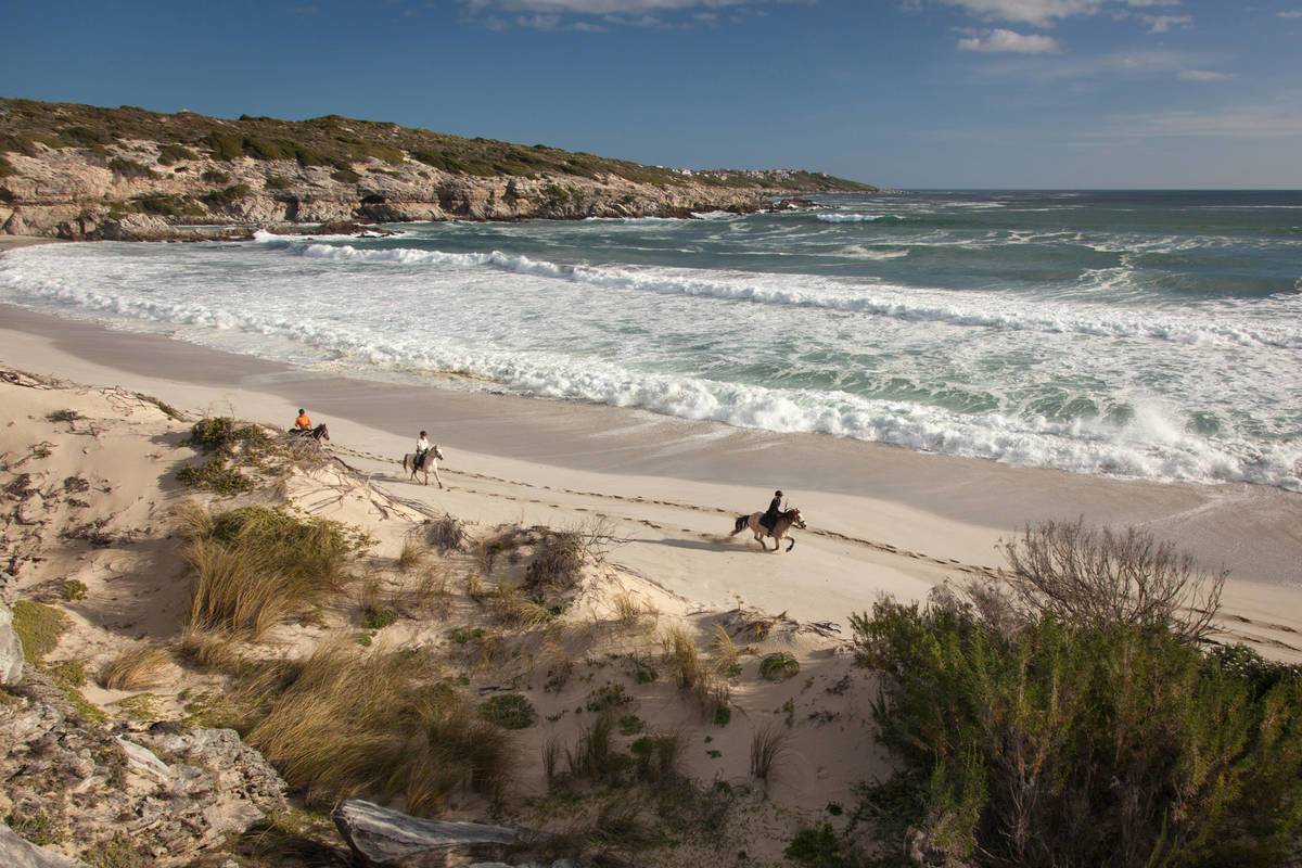 Big 5 of Land & Sea photo 3