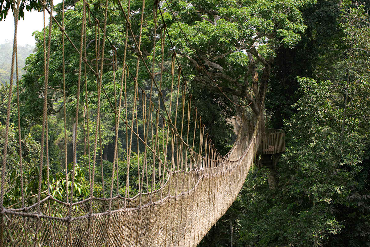 Essential Ghana photo 1