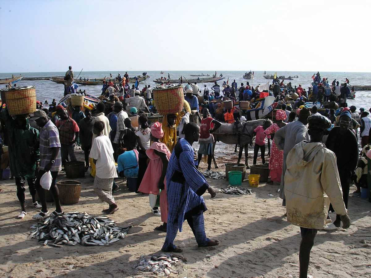 Senegal Extension photo 4