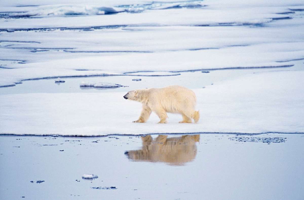 Spitsbergen Expedition Cruise & Baltic Highlights photo 2