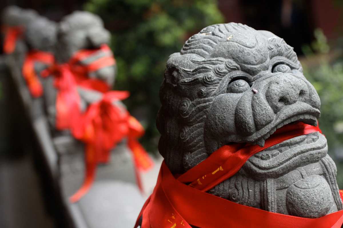 China Discovery  photo 5