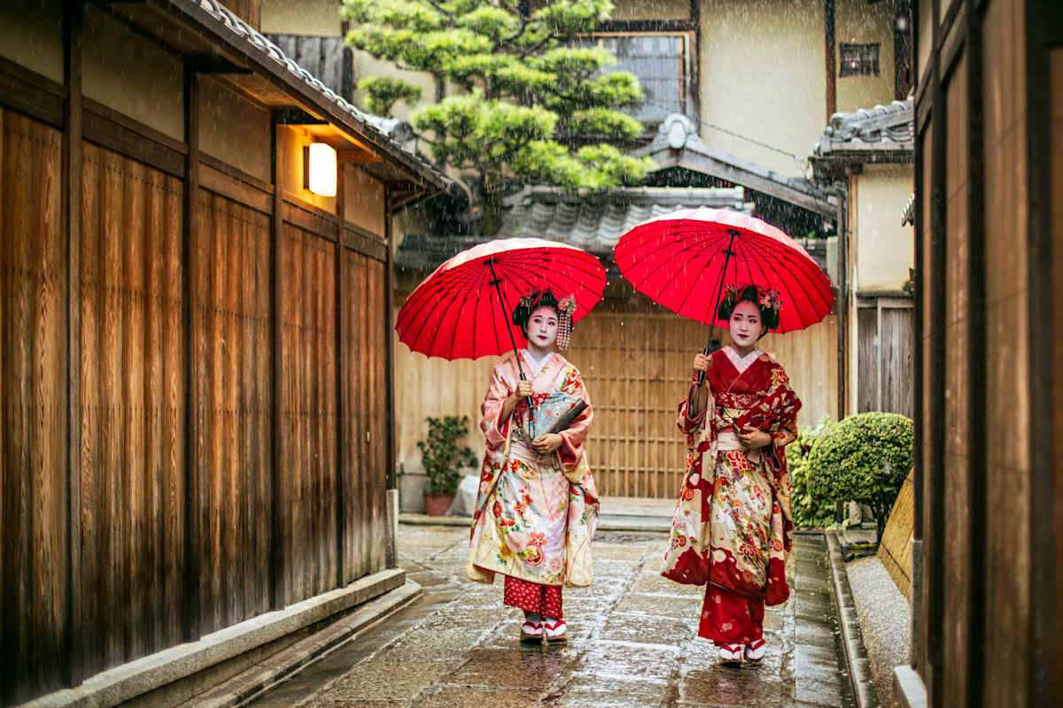 Essential Japan Discovery photo 3