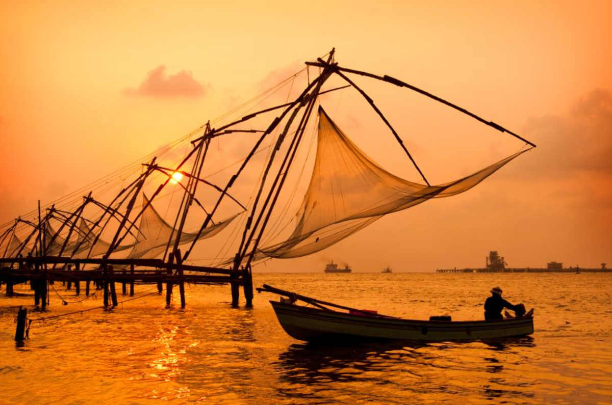 India's North & South: Taj Mahal to Kerala Backwaters photo 3