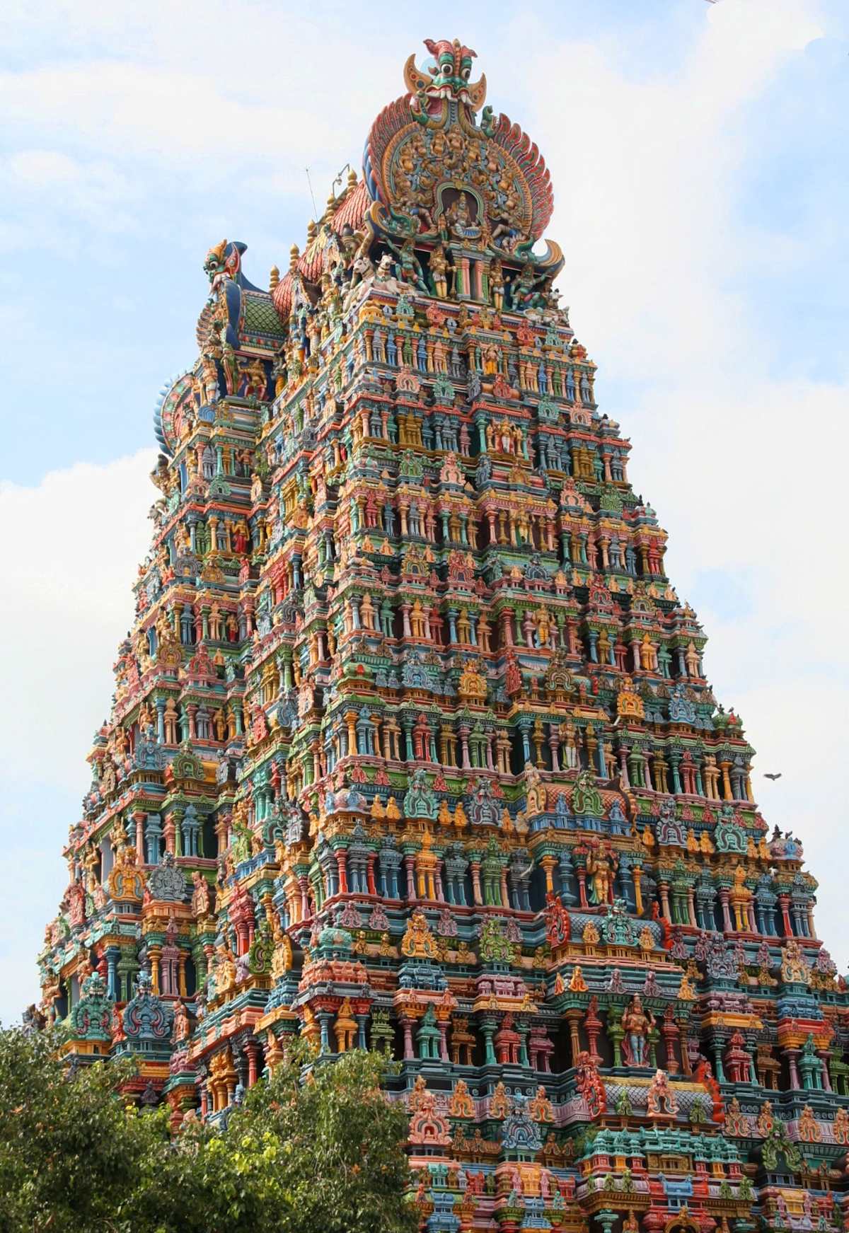 Classic South India photo 6