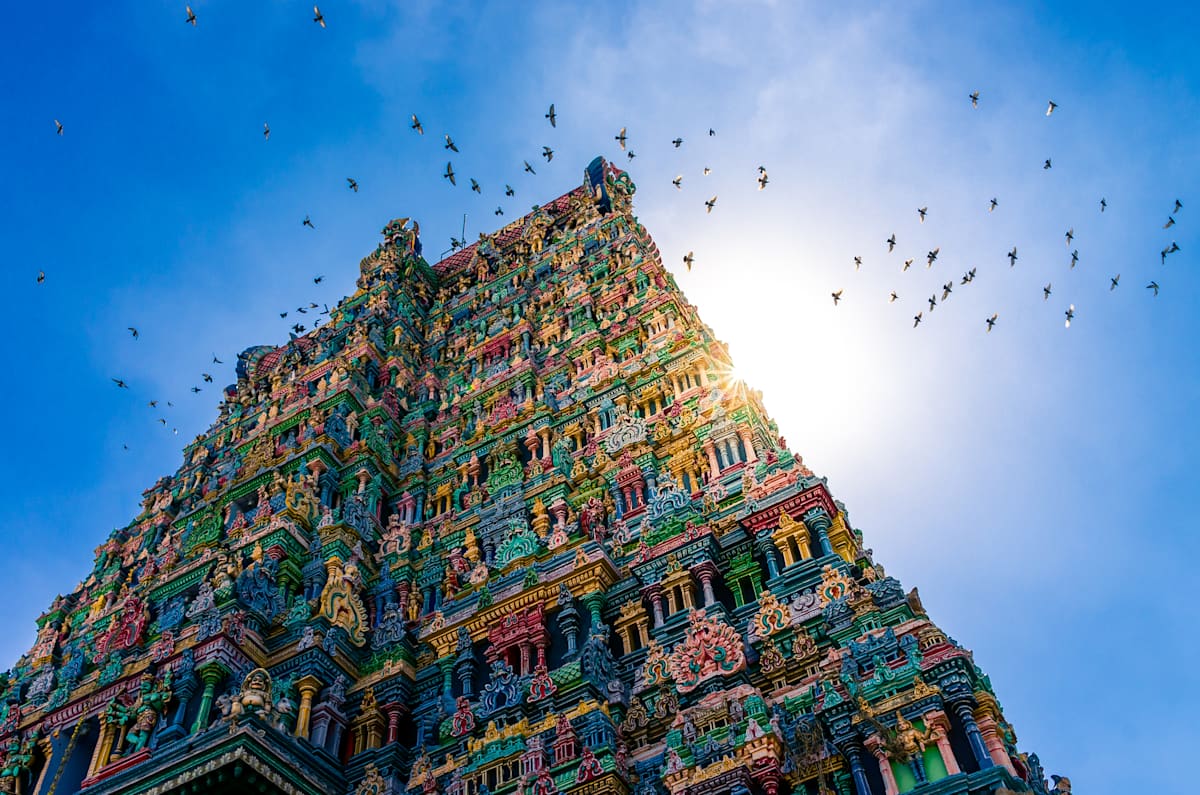 Classic South India photo 2
