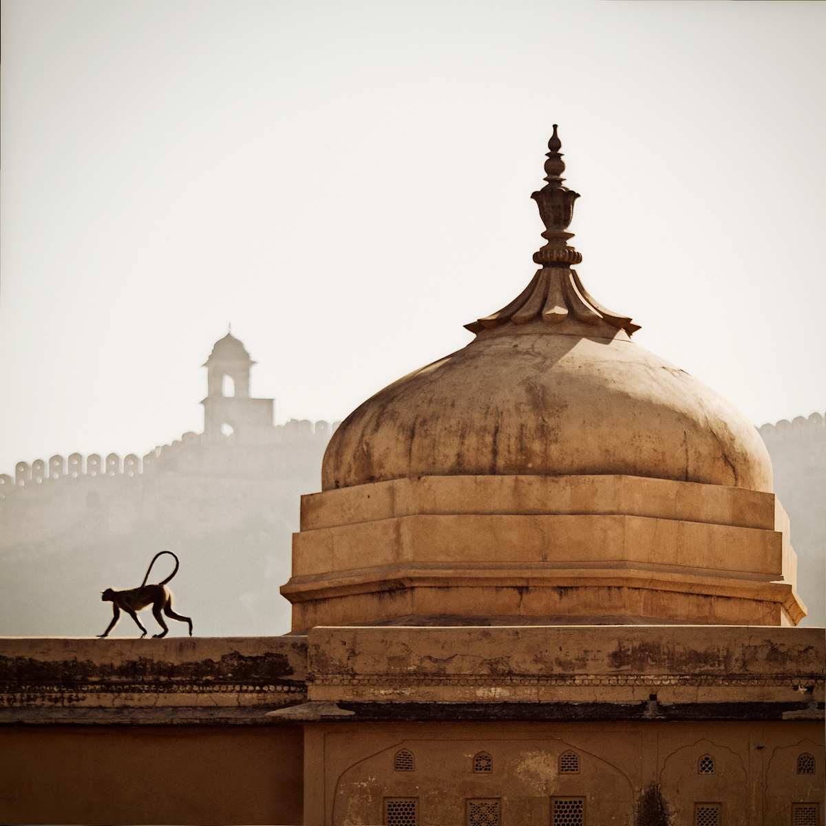 Essential India: Golden Triangle Tour photo 3
