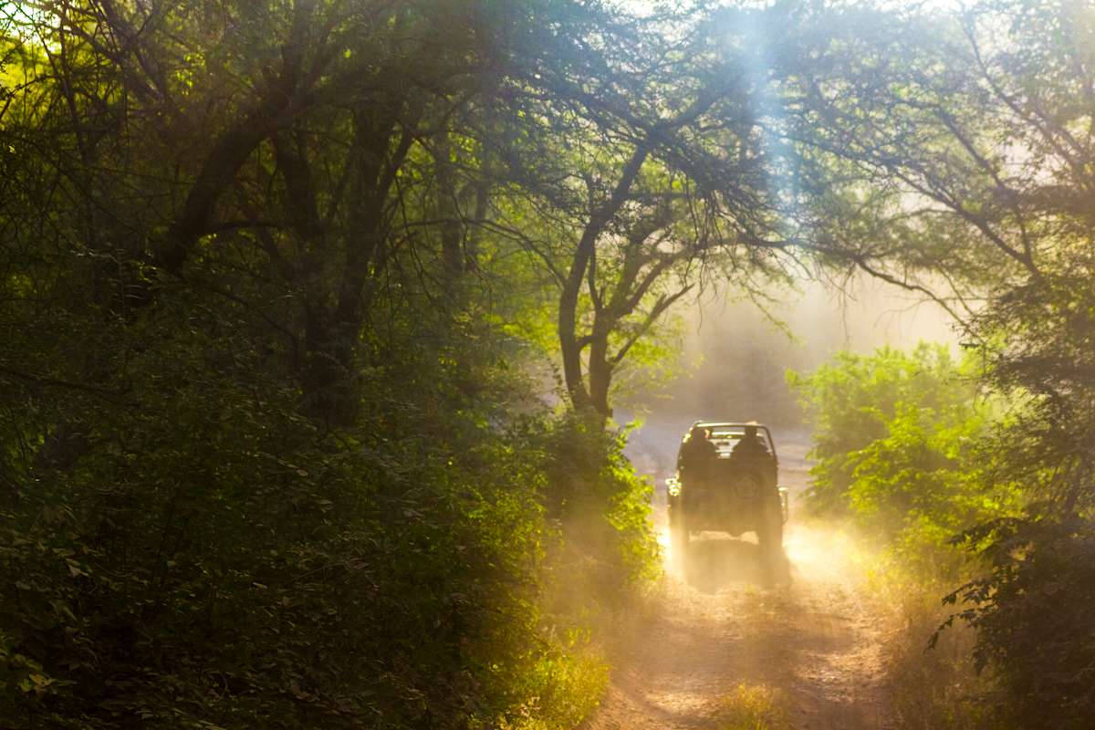 India Ultimate Wildlife photo 5