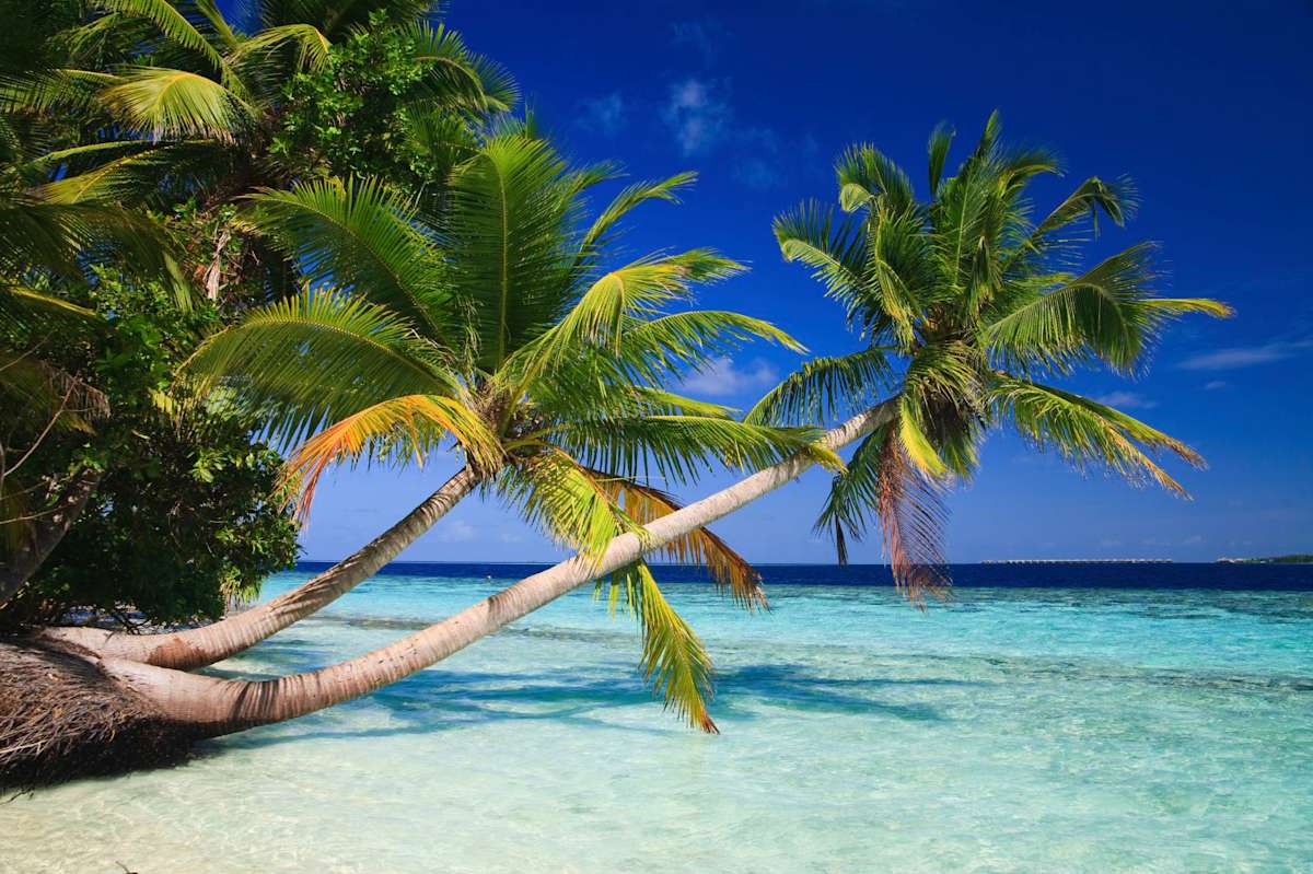 The Splendor of Dubai & Maldives photo 3