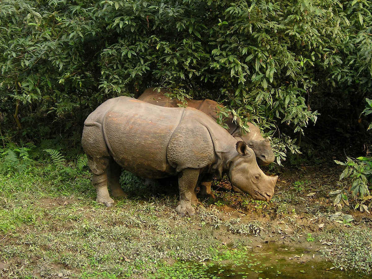 Nepal & Bhutan Explorer photo 1