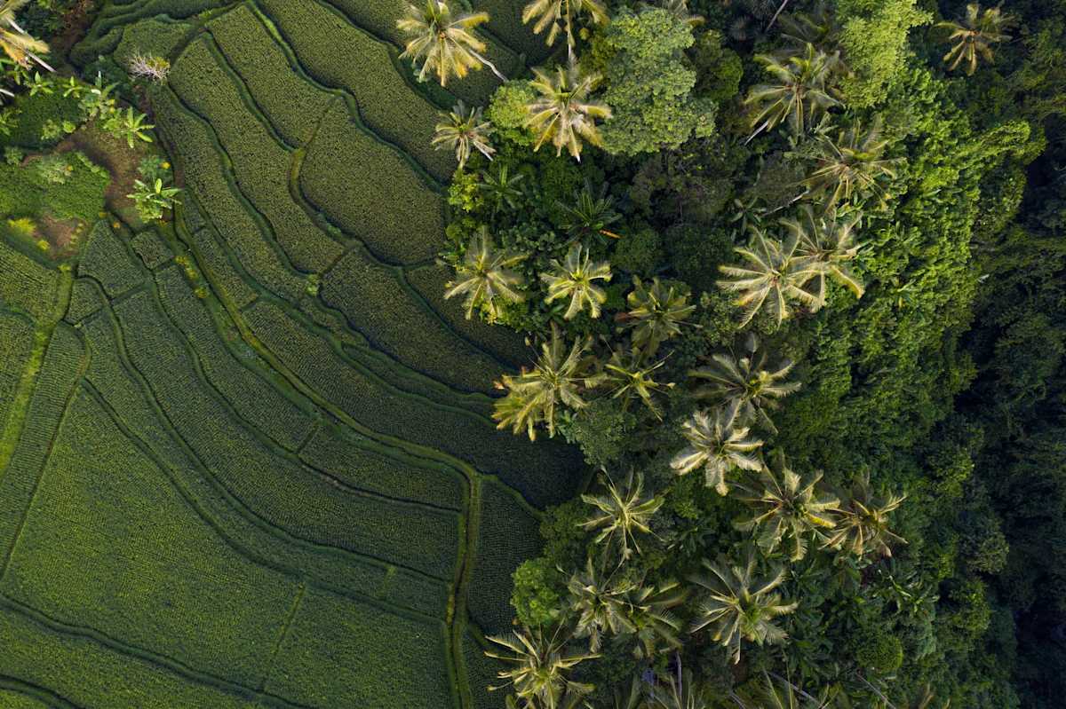 Luxury Singapore & Bali photo 3