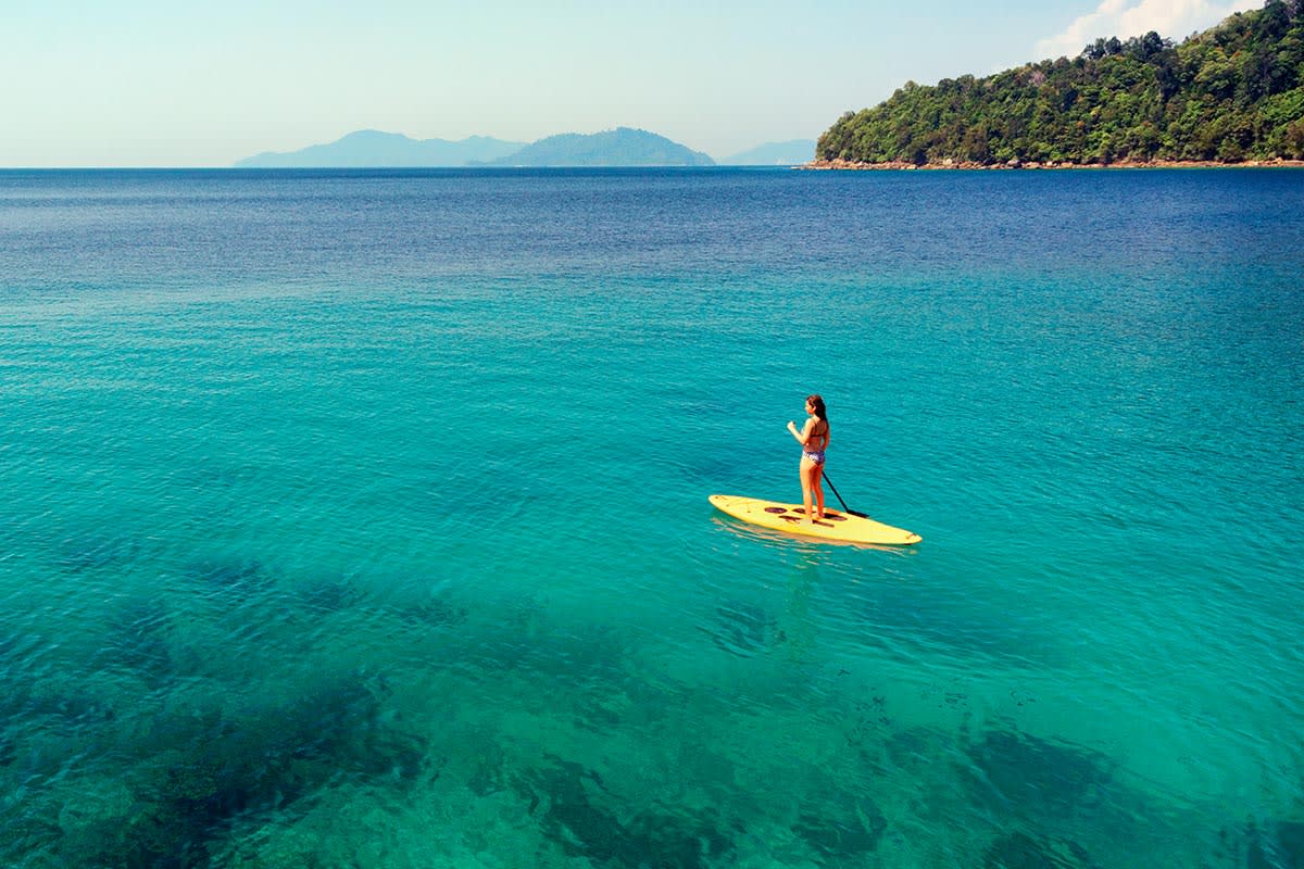 Borneo: Wildlife and Coast photo 4