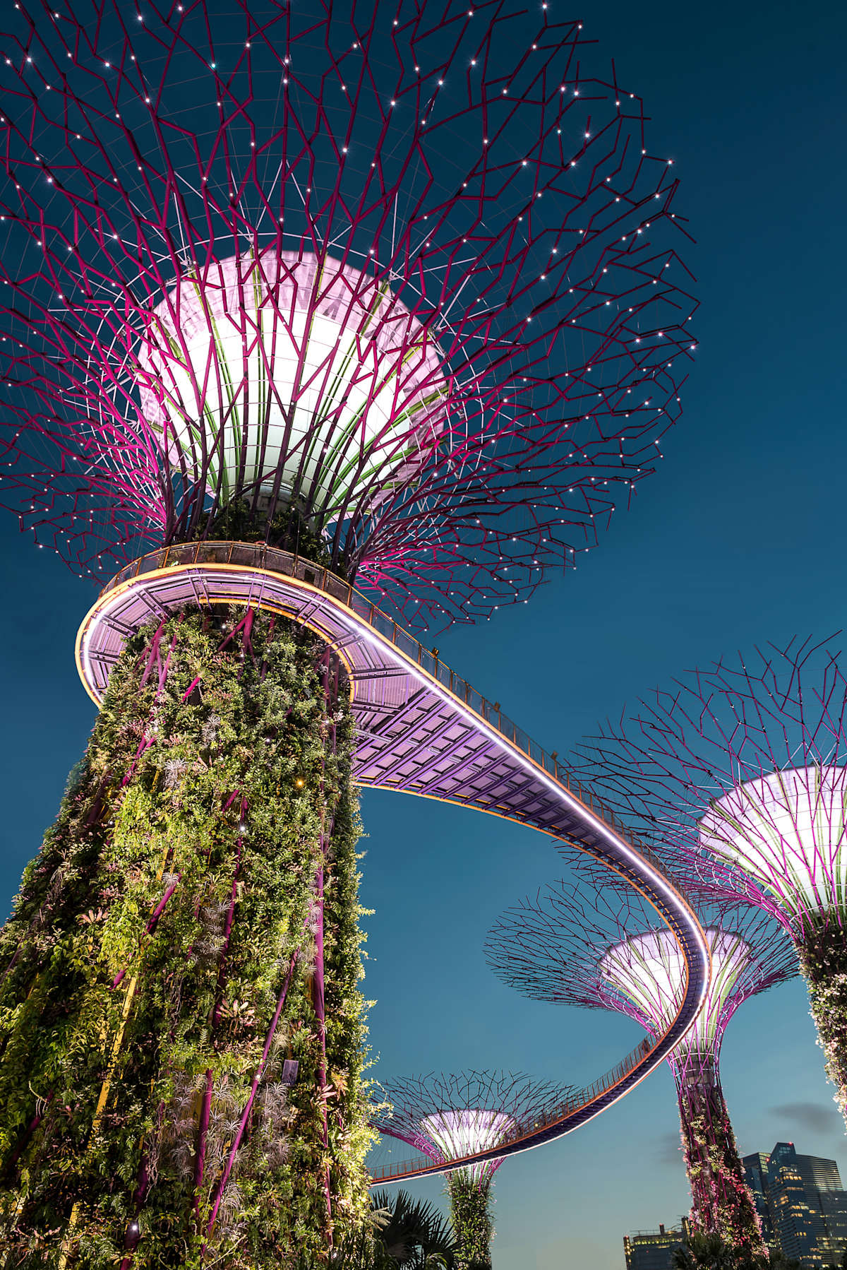 Malaysia and Singapore Highlights photo 2
