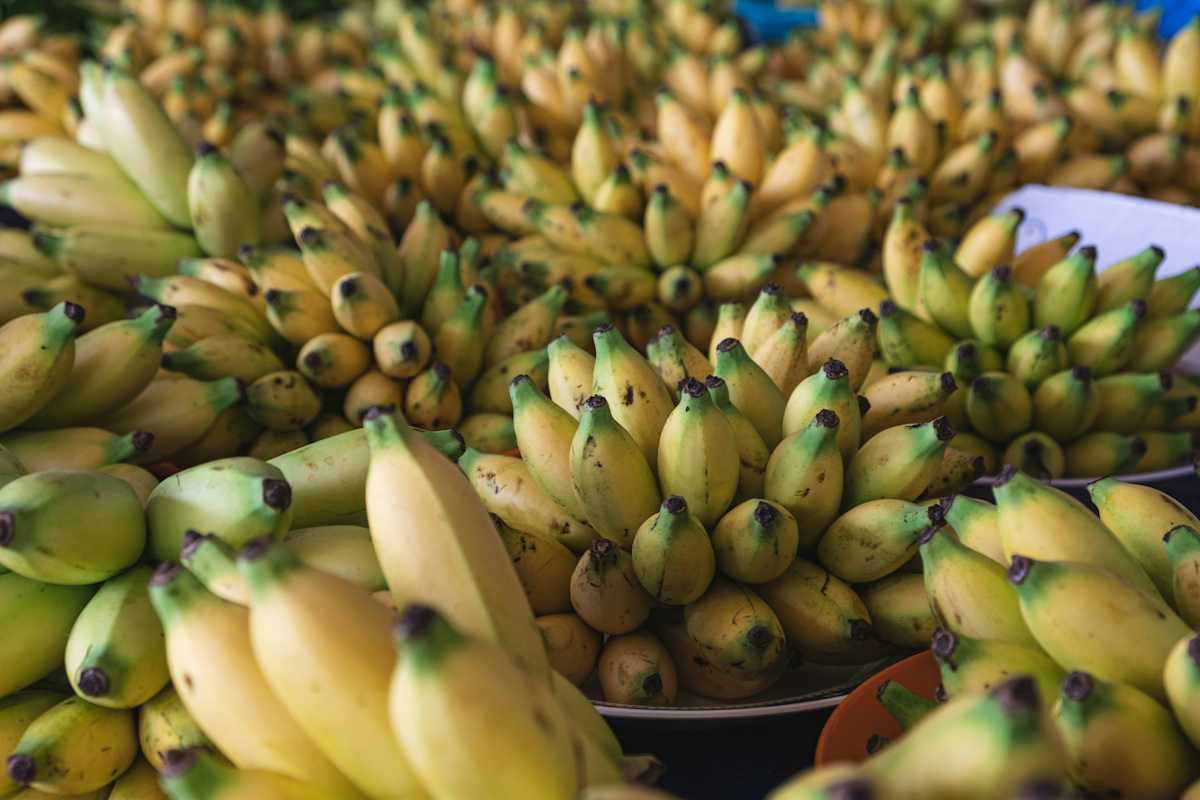 Tastes & Traditions of Malaysia photo 5