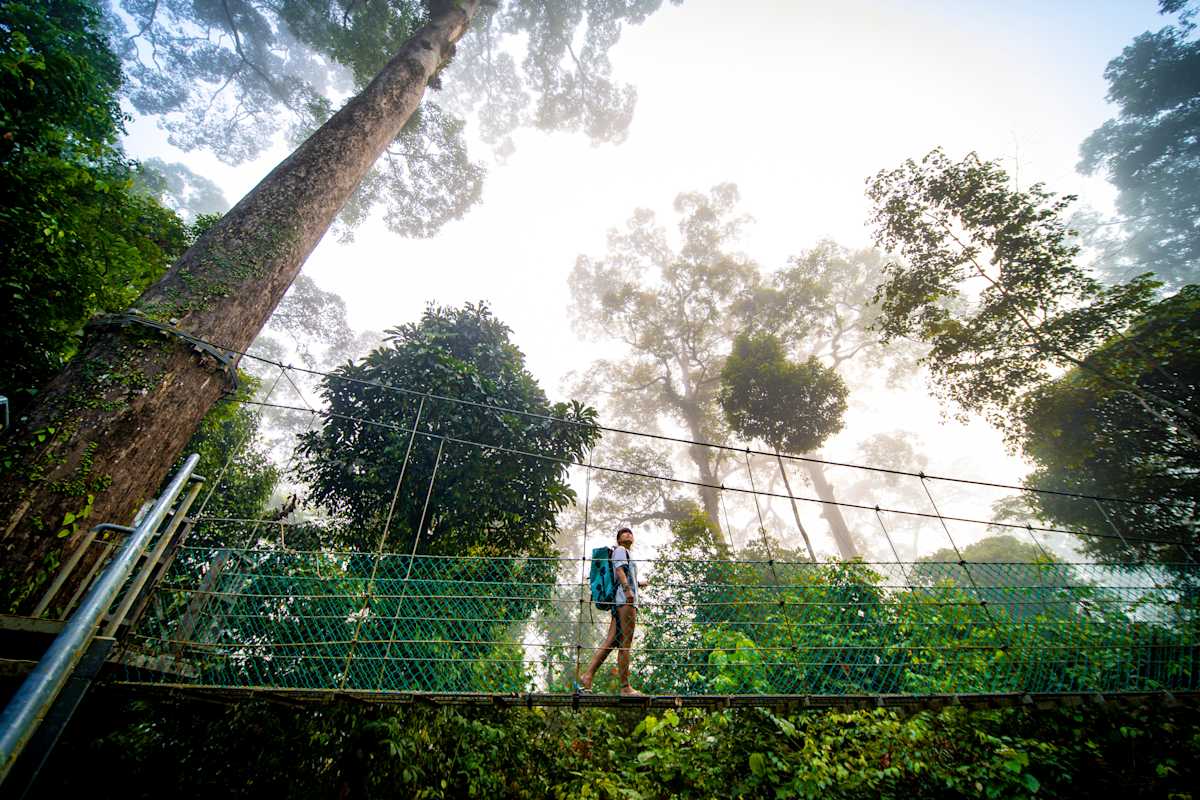 Wildlife Wonders of Malaysia photo 1