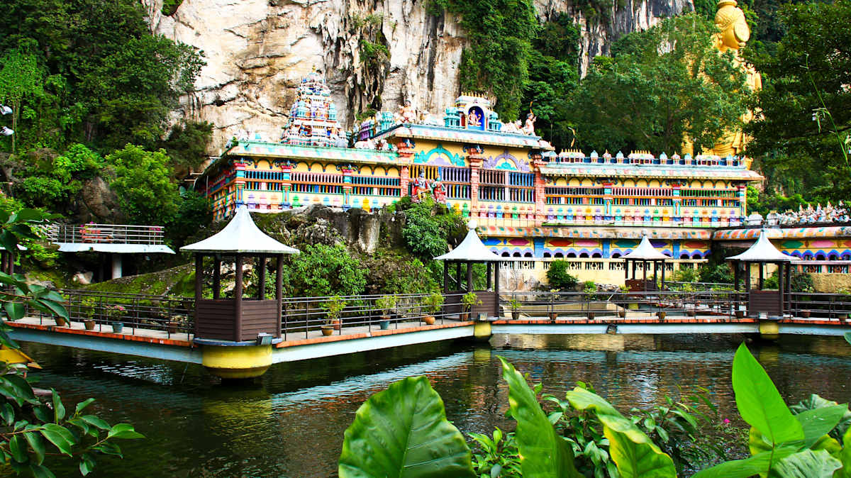 Wildlife Wonders of Malaysia photo 3