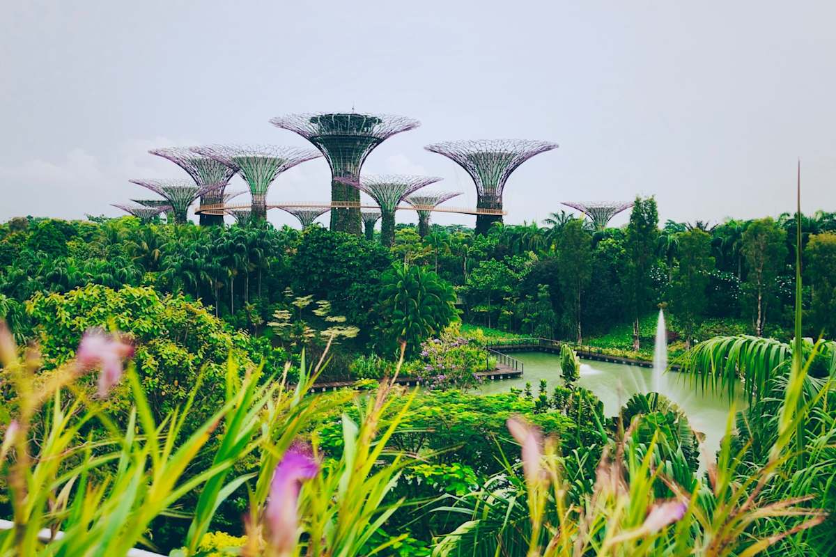Singapore Luxe Getaway & Insider Access photo 5