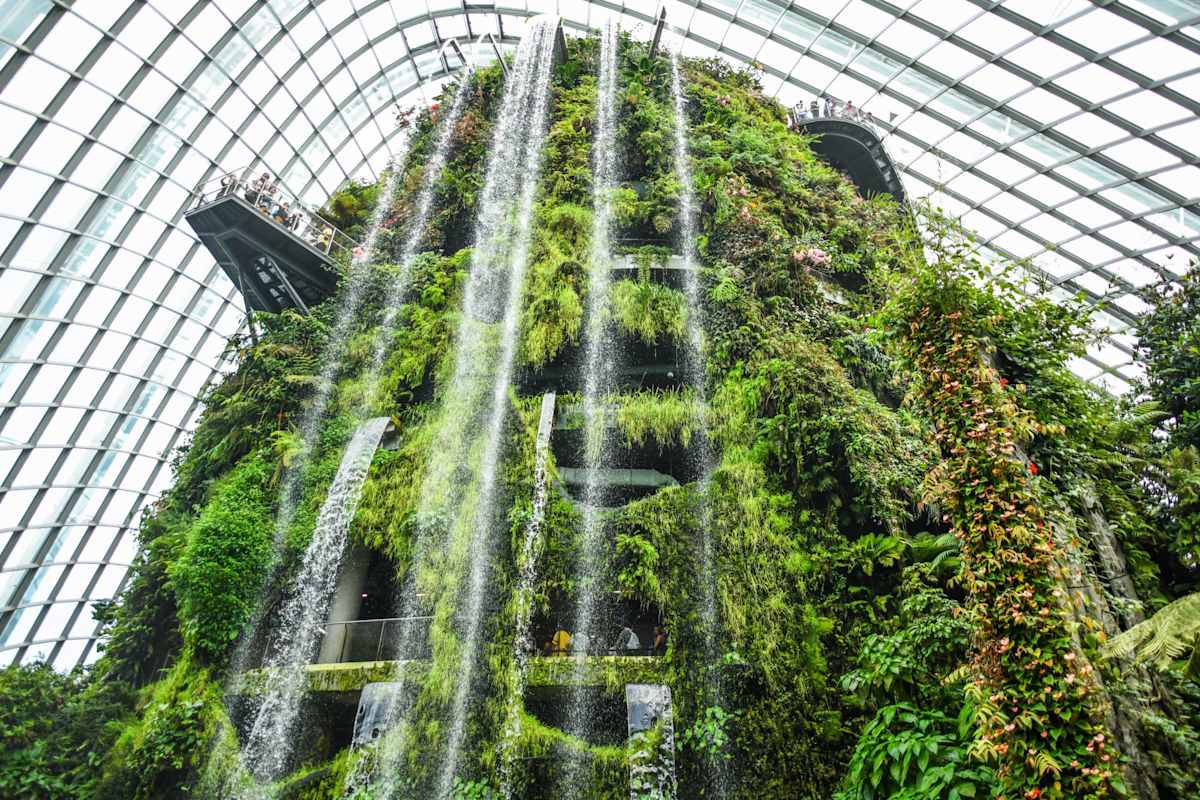 Singapore Highlights: City & Nature photo 2