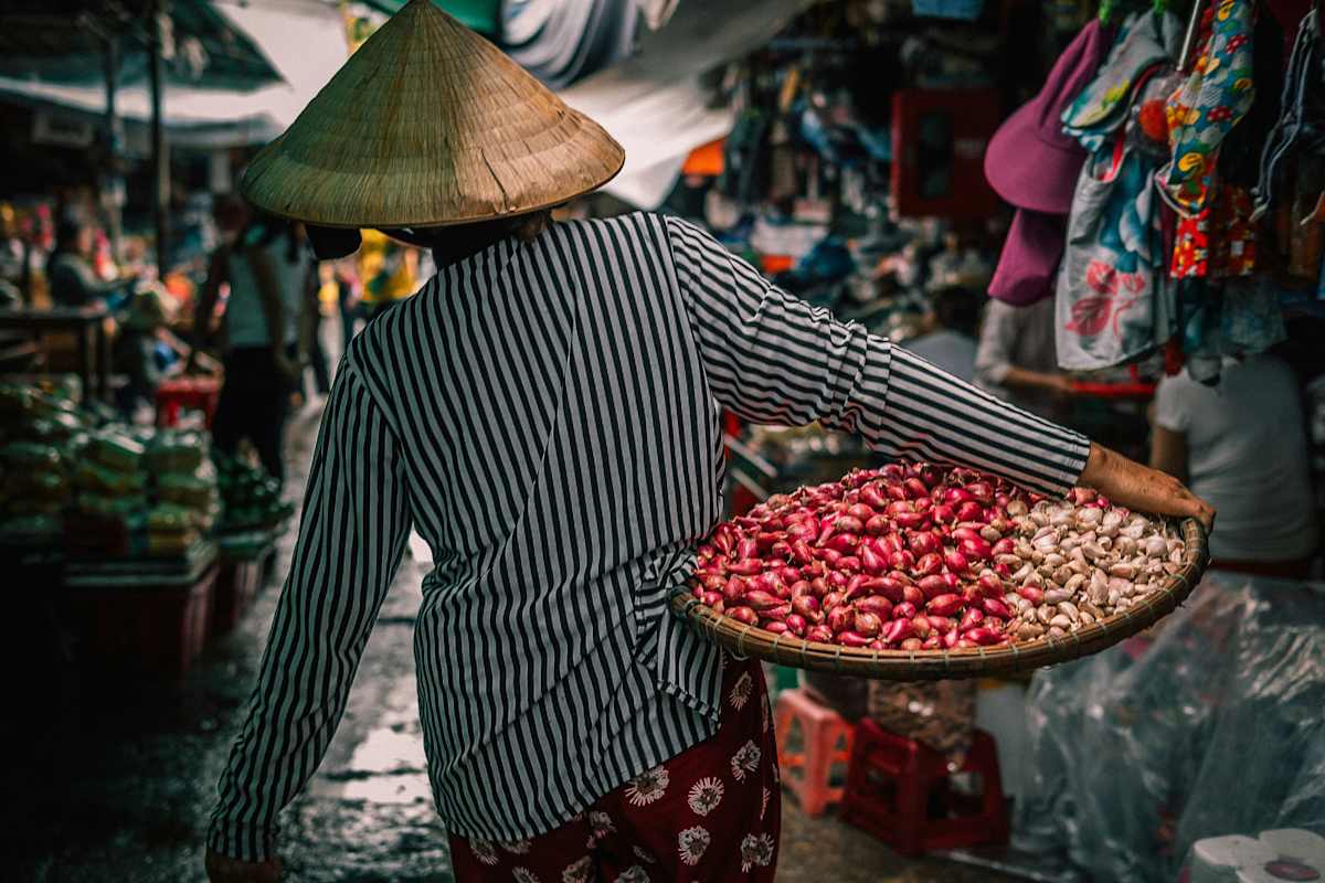 Northern Vietnam Unveiled photo 2