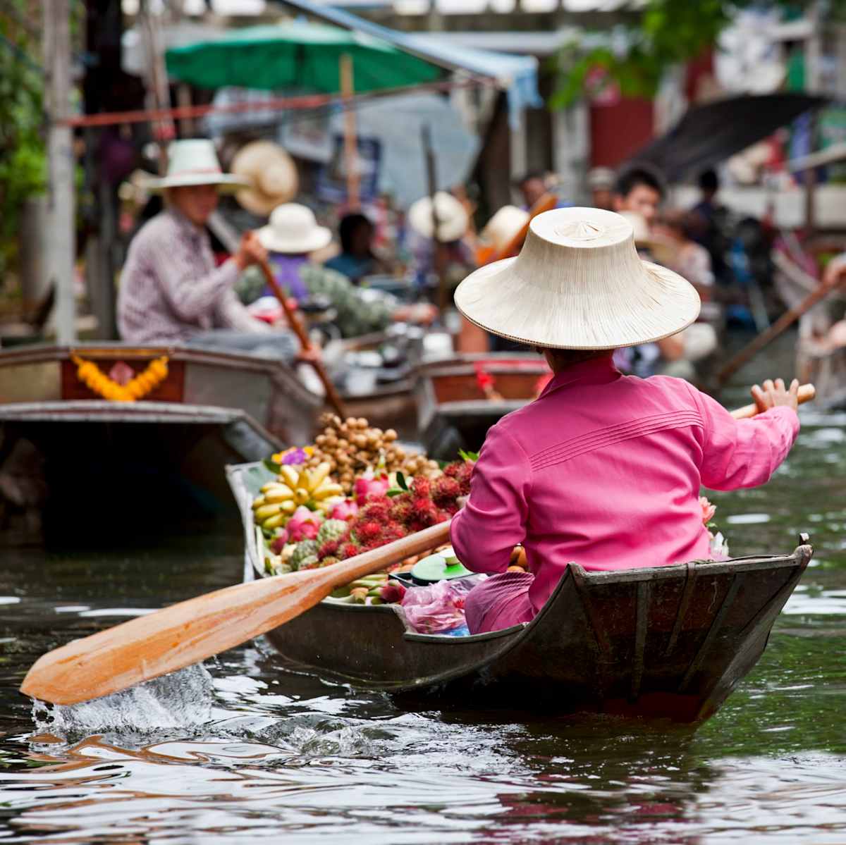 Thailand Signature: Northern Elephants & Islands photo 6