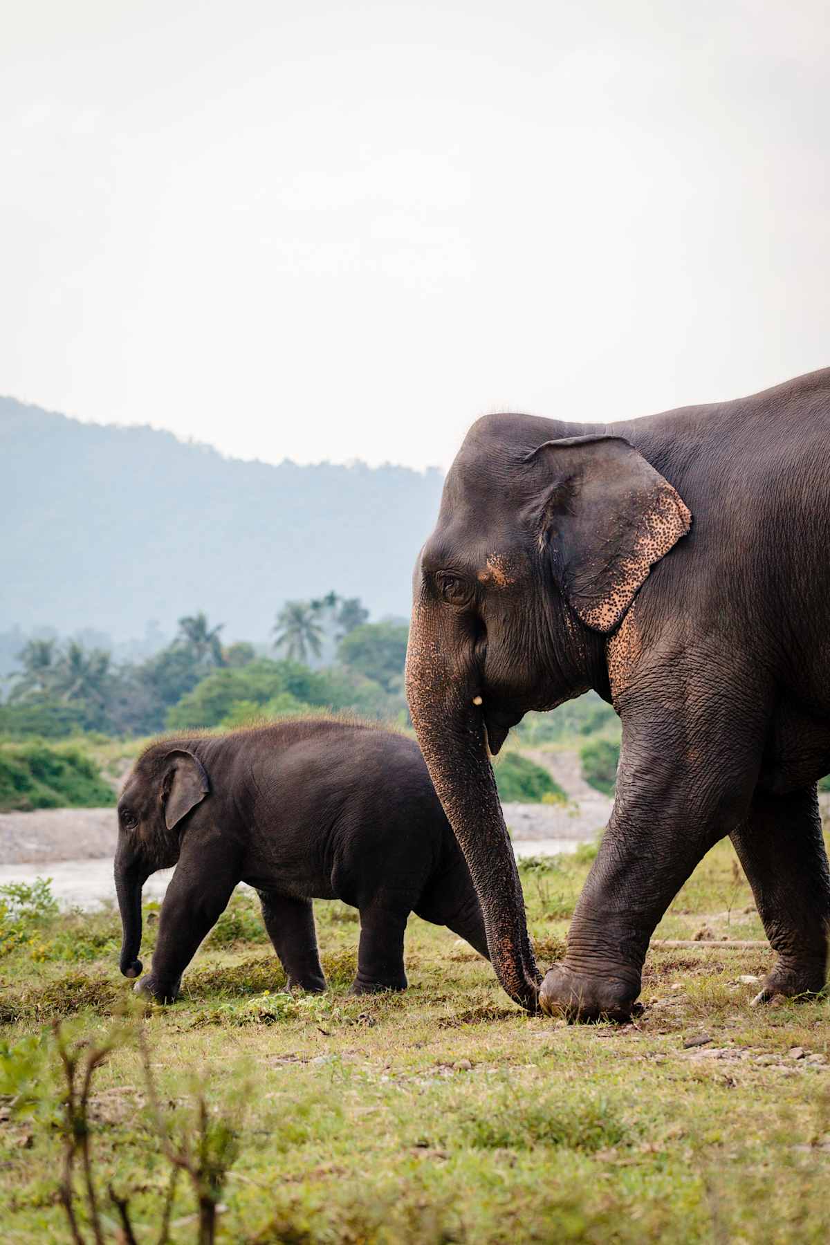Family Adventure Through Thailand photo 2