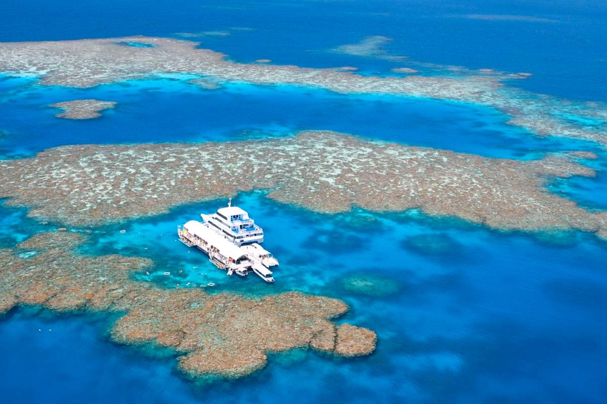 Sydney, Rock, & Reef Explorer photo 3