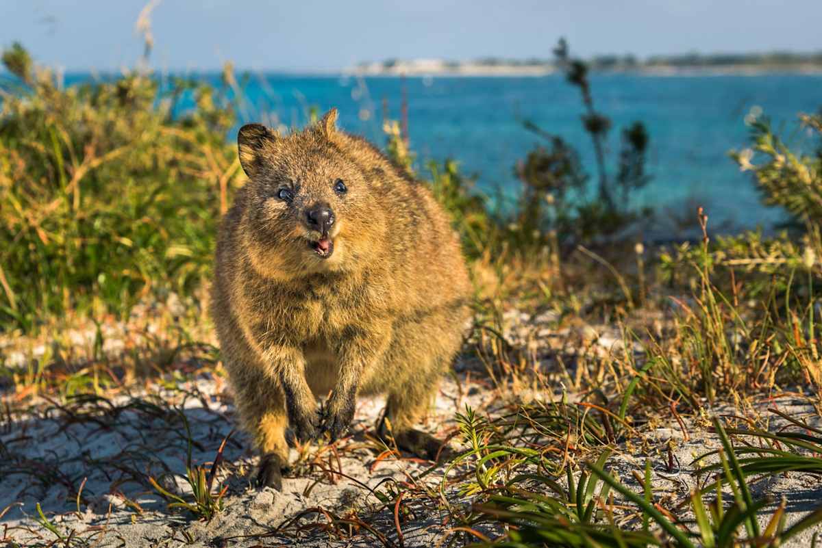 Western Australia In-Depth photo 4