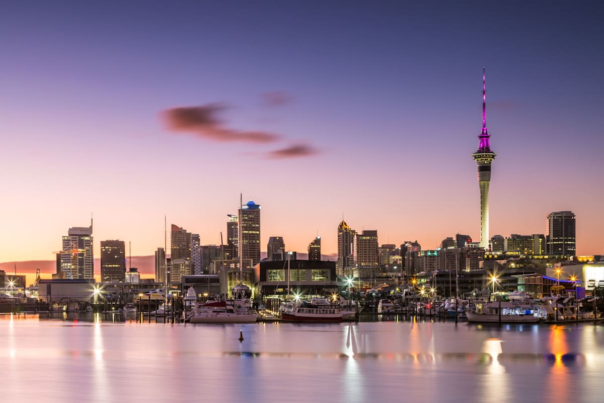 Highlights of New Zealand photo 6
