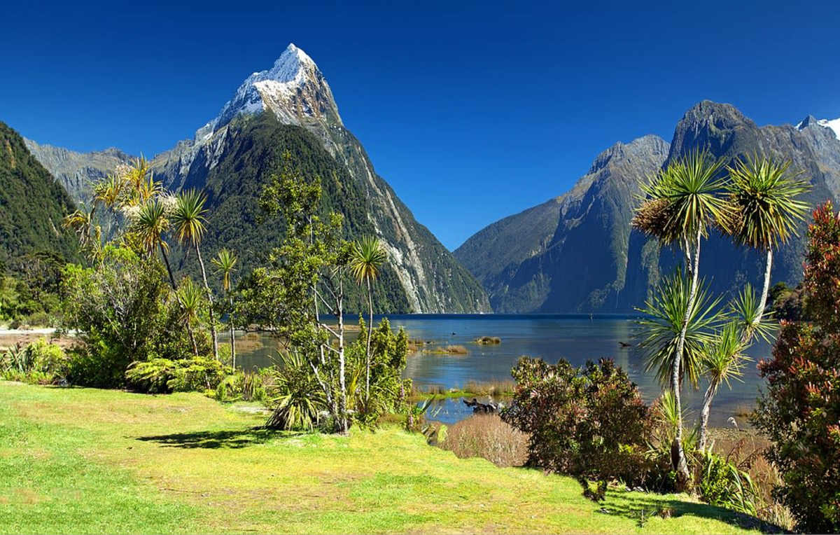 Highlights of New Zealand photo 5