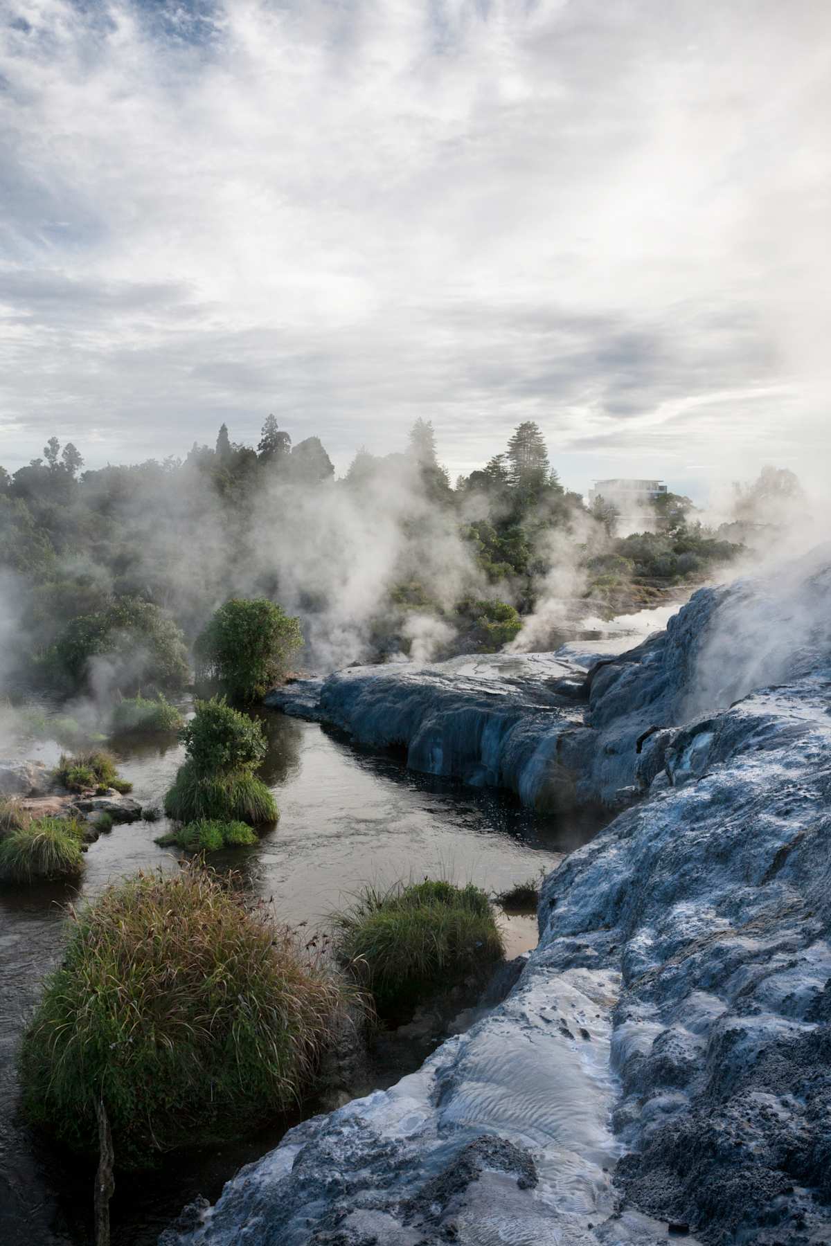 New Zealand: Wellness & Wilderness photo 2