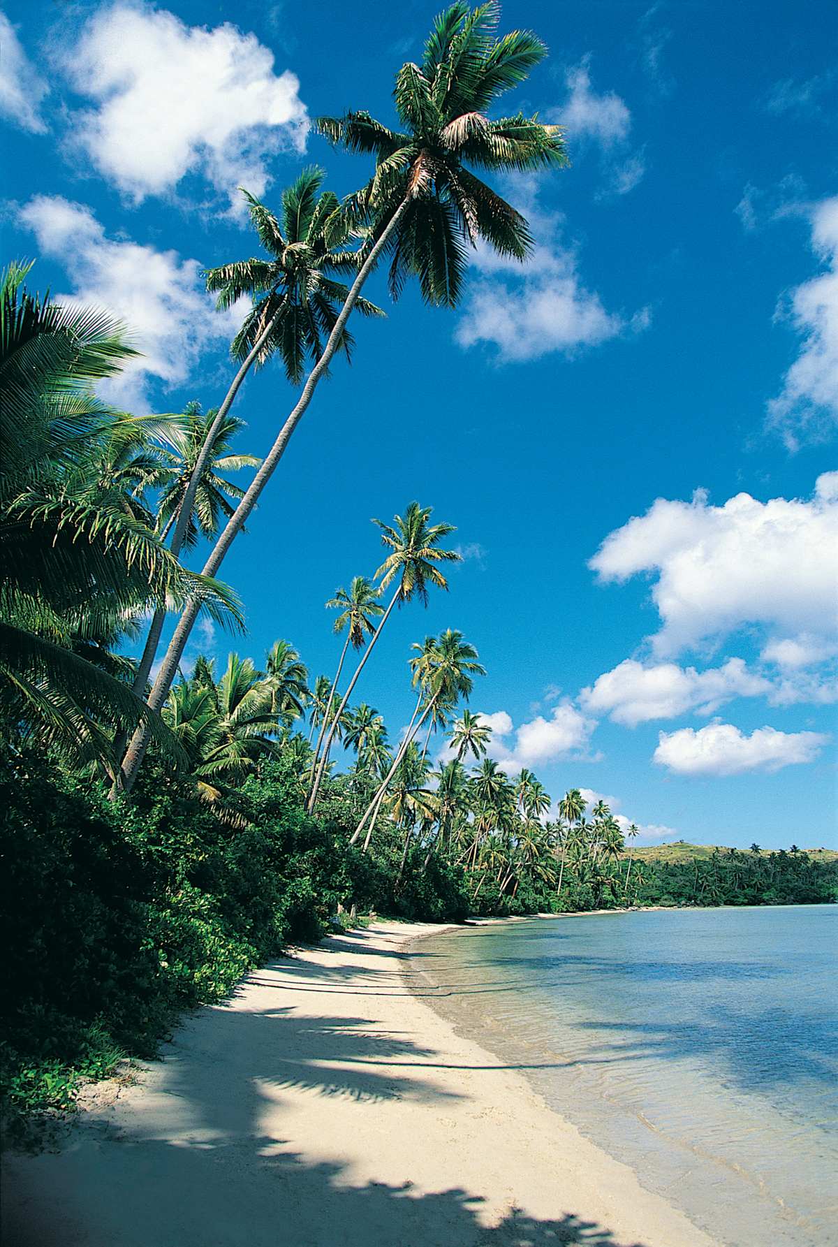Treasures of the Pacific: New Zealand to Fiji by Cruise photo 2