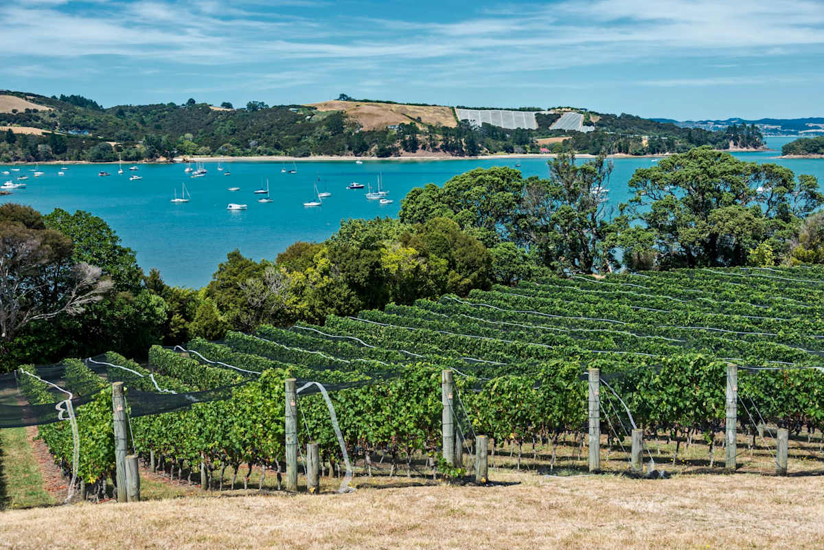 New Zealand: A Golfer's Paradise photo 5